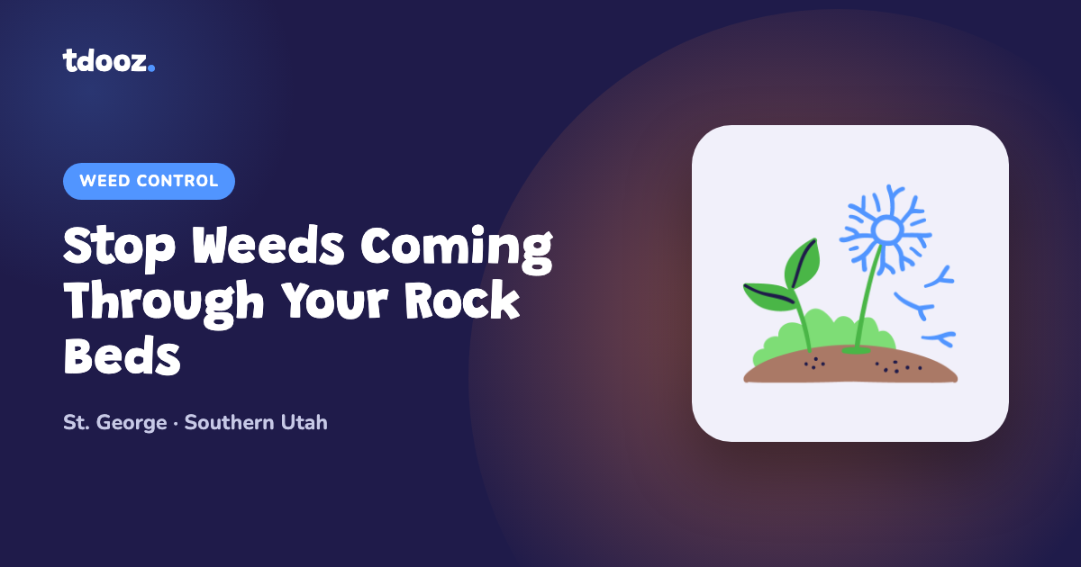 Illustration of a sprout in gravel with the title Stop Weeds Coming Through Your Rock Beds